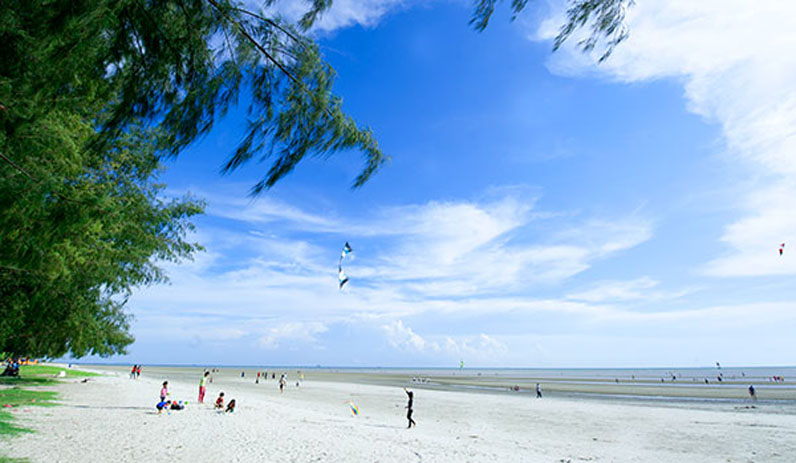 Package Image